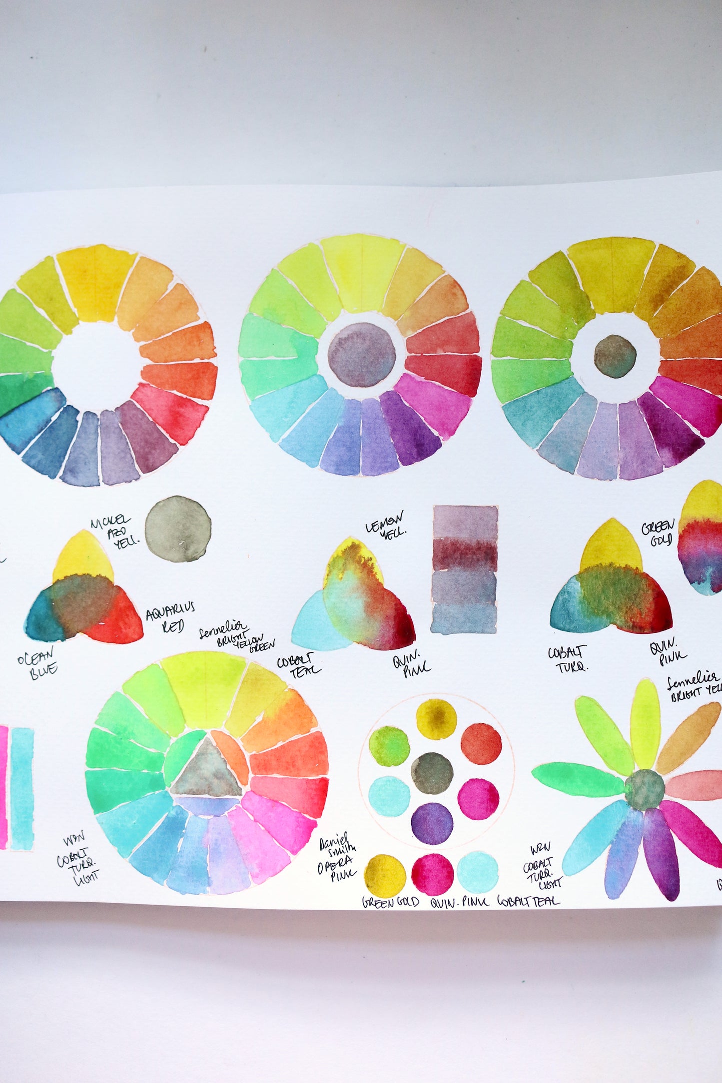 COLOUR PALETTE A6 Alyona Creates Clear Stamp Set
